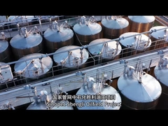 সফল কনটেইনার প্রকল্পের কিছু উদাহরণ কী?